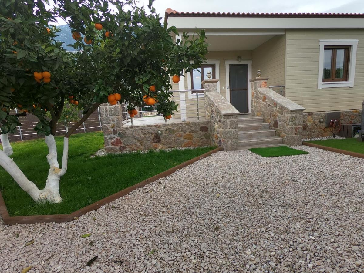Desa Green Homes Epidaurus Ngoại thất bức ảnh